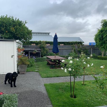 Hawkes Bay Villa-Beechwood Хейстингс Екстериор снимка